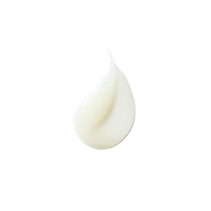 컨센트레이트