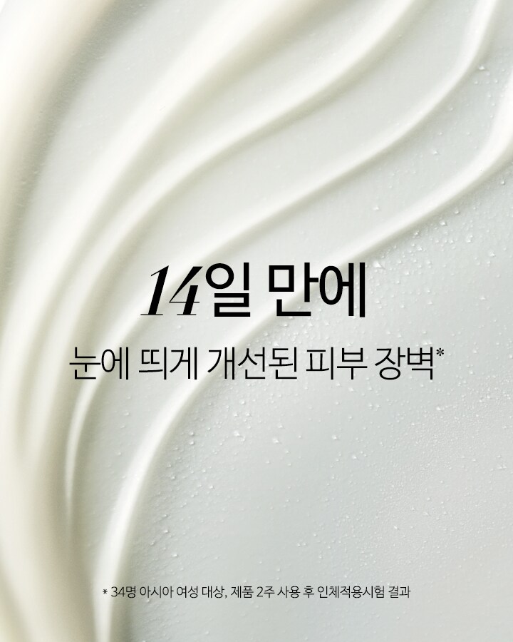 컨센트레이트